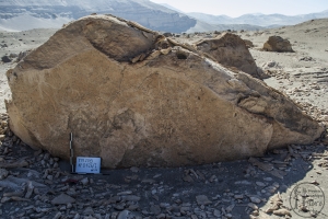 Piedra: 426, Cara decorada: I