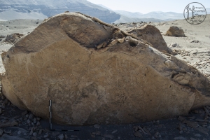 Piedra: 426, Cara decorada: I