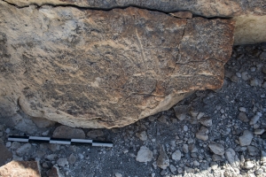 Piedra: 428, Cara decorada: I