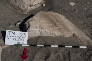 Piedra: 438, Cara decorada: I