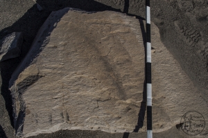 Piedra: 438, Cara decorada: I