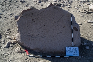 Piedra: 441, Cara decorada: I