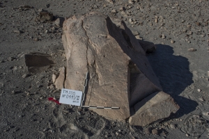 Piedra: 445, Cara decorada: III