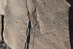 Piedra: 445, Cara decorada: III