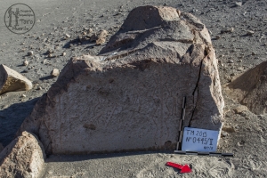 Piedra: 445, Cara decorada: II