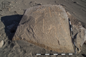 Piedra: 446, Cara decorada: I