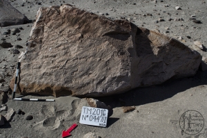 Piedra: 447, Cara decorada: II