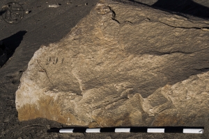 Piedra: 452, Cara decorada: I
