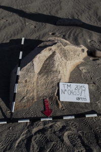 Piedra: 453, Cara decorada: I