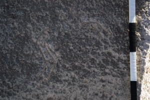 Piedra: 454, Cara decorada: I