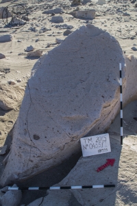 Piedra: 455, Cara decorada: I