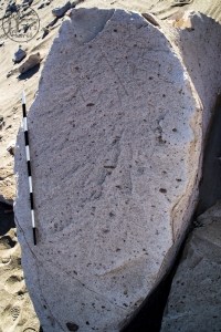 Piedra: 455, Cara decorada: I