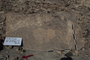 Piedra: 456, Cara decorada: I