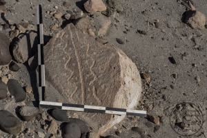 Piedra: 458, Cara decorada: I