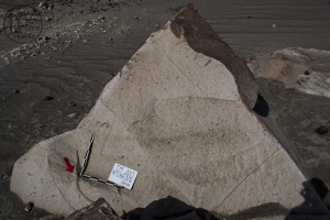 Piedra: 469, Cara decorada: IV