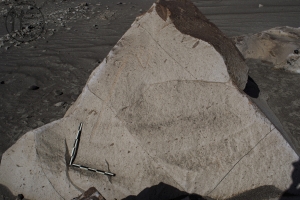 Piedra: 469, Cara decorada: IV