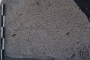 Piedra: 470, Cara decorada: I