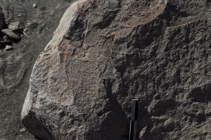 Piedra: 483, Cara decorada: II