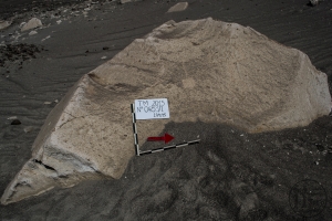 Piedra: 483, Cara decorada: I