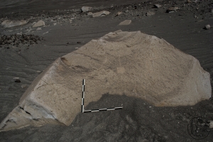 Piedra: 483, Cara decorada: I
