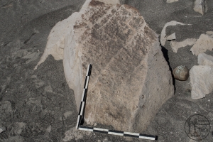 Piedra: 490, Cara decorada: I