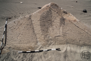 Piedra: 497, Cara decorada: I
