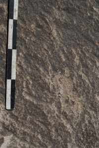 Piedra: 499, Cara decorada: I