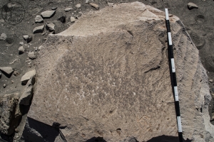 Piedra: 500, Cara decorada: I