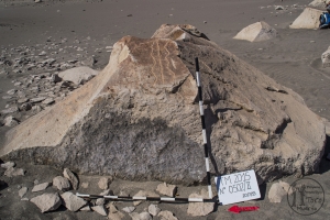 Piedra: 502, Cara decorada: II
