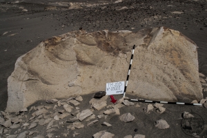Piedra: 502, Cara decorada: I