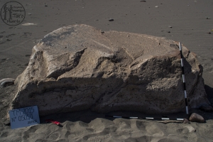 Piedra: 505, Cara decorada: I
