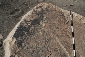 Piedra: 505, Cara decorada: I