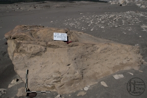 Piedra: 506, Cara decorada: III