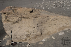 Piedra: 506, Cara decorada: III