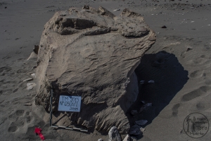 Piedra: 506, Cara decorada: I