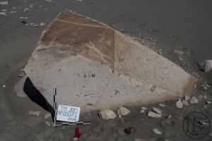 Piedra: 507, Cara decorada: I
