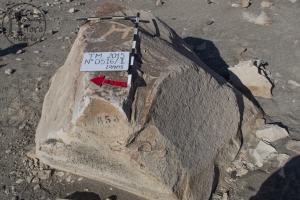 Piedra: 516, Cara decorada: II