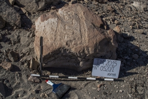 Piedra: 520, Cara decorada: I