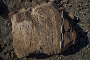 Piedra: 520, Cara decorada: I