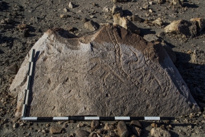 Piedra: 526, Cara decorada: I