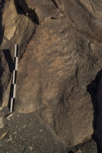 Piedra: 531, Cara decorada: I
