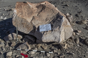 Piedra: 532, Cara decorada: I