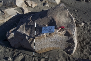 Piedra: 534, Cara decorada: I