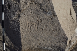 Piedra: 535, Cara decorada: I