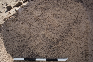 Piedra: 540, Cara decorada: IV