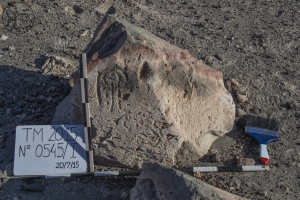 Piedra: 545, Cara decorada: I