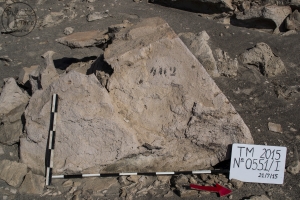 Piedra: 551, Cara decorada: I
