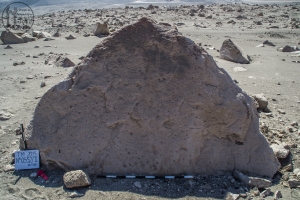 Piedra: 552, Cara decorada: II