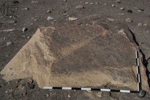 Piedra: 556, Cara decorada: I