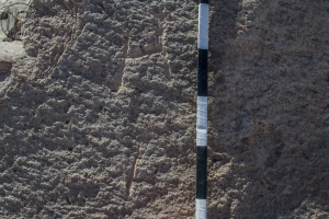 Piedra: 557, Cara decorada: I